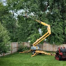 Best Storm Damage Tree Cleanup  in Centreville, VA