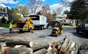 Best Arborist Consultation Services  in Centreville, VA