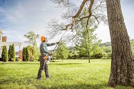 Best Commercial Tree Services  in Centreville, VA