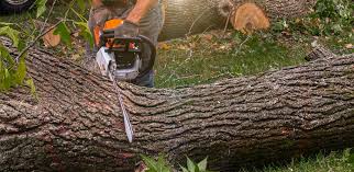 Lawn Watering Services in Centreville, VA